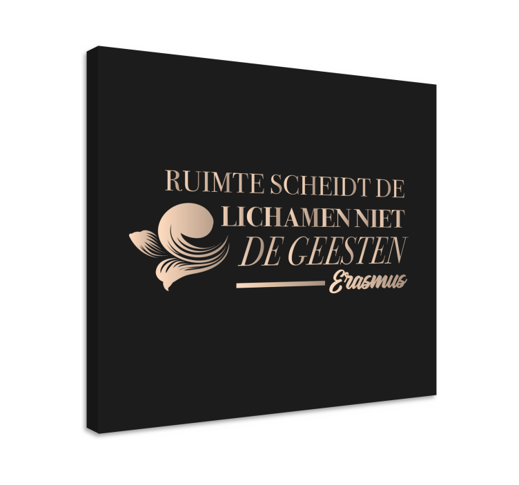 Cuadro frase la vida es un sueño - TenVinilo