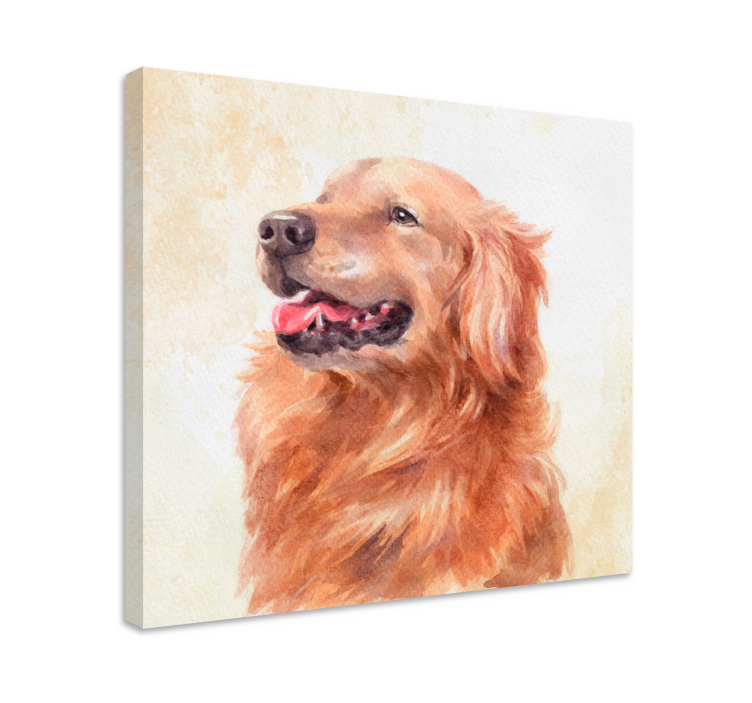 Cuadro de perro ilustración de golden retriever - TenVinilo