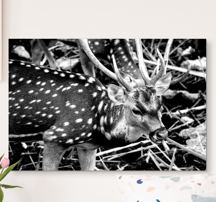 Cuadro ciervos elegante retrato en escala de grises - TenVinilo