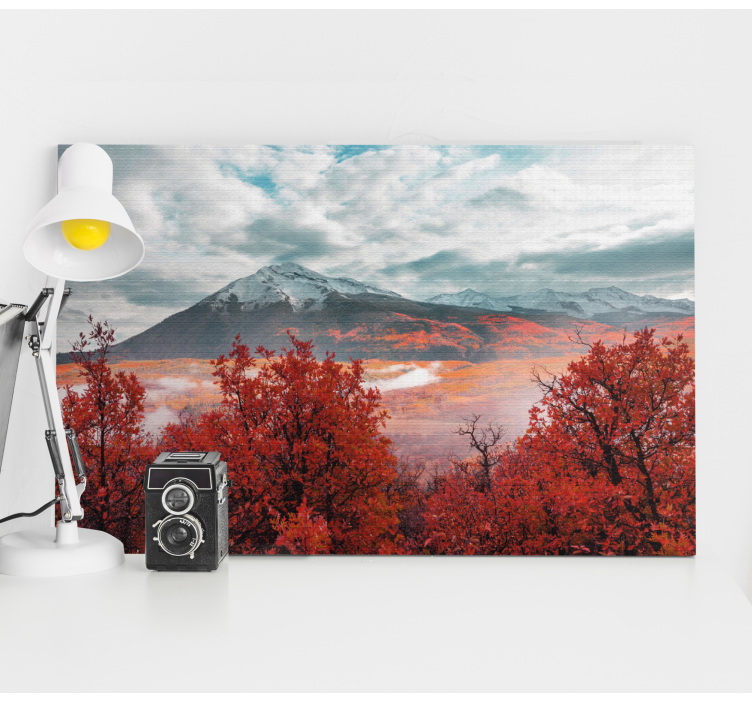 Cuadro paisajes Momento mágico en el bosque - TenVinilo