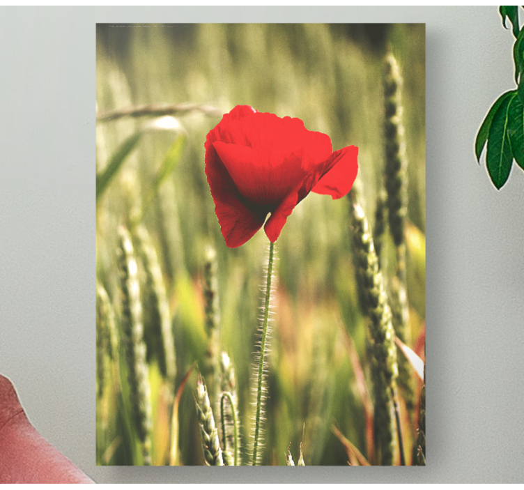 Cuadro de flores Amapola con trigo - TenVinilo
