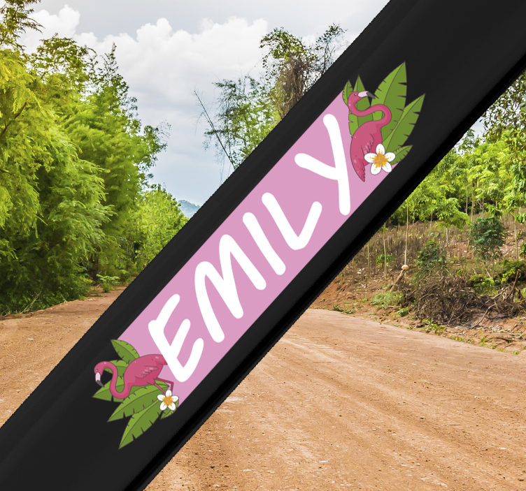 Pegatina personalizada para bicicleta flamencos - TenVinilo