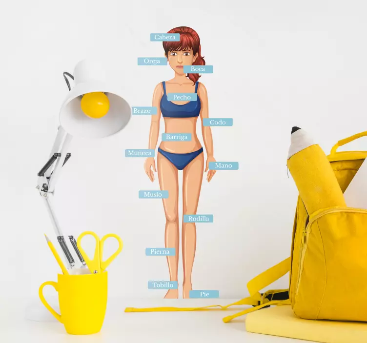 Vinilo pared anatomía humana partes del cuerpo - TenVinilo