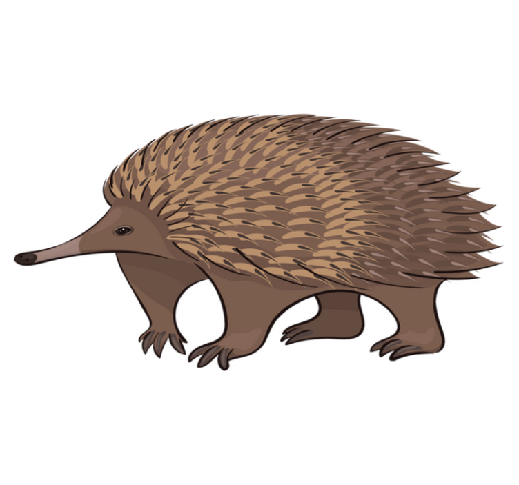 Alfombra vinílica animales erizo amigable - TenVinilo