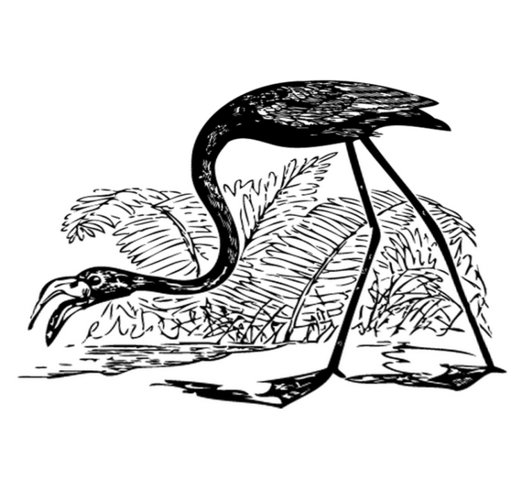 Alfombra vinílica animales flamenco con helechos - TenVinilo