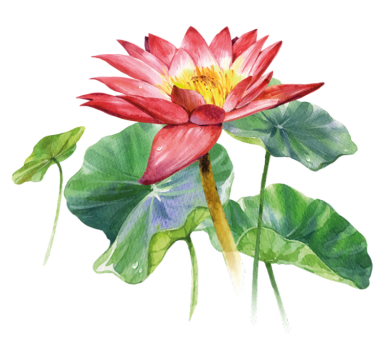 Alfombra vinílica dormitorio ilusión acuática loto - TenVinilo