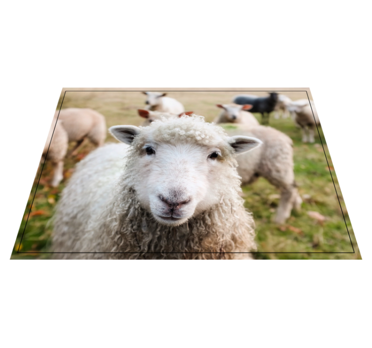 Alfombra vinílica animales cara de oveja rizada - TenVinilo