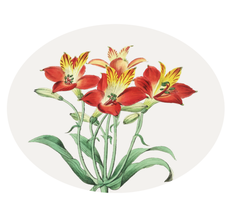 Alfombra vinílica flores rosas rojas vibrantes - TenVinilo