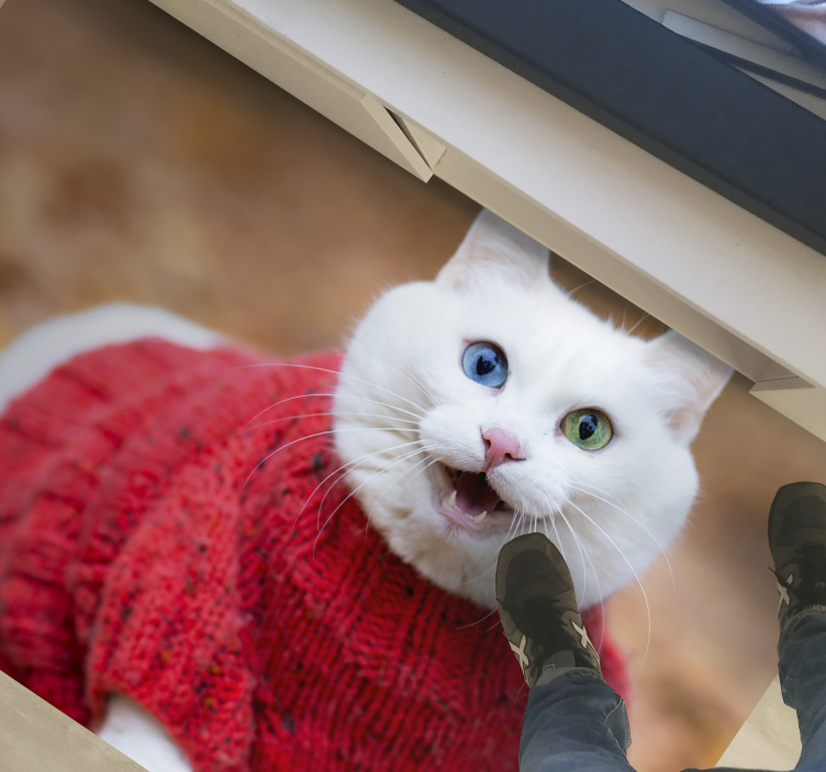 Alfombra vinílica animales suéter de gato juguetón - TenVinilo