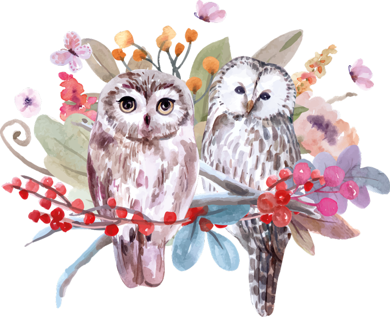 Alfombra vinílica animales búhos en la naturaleza - TenVinilo