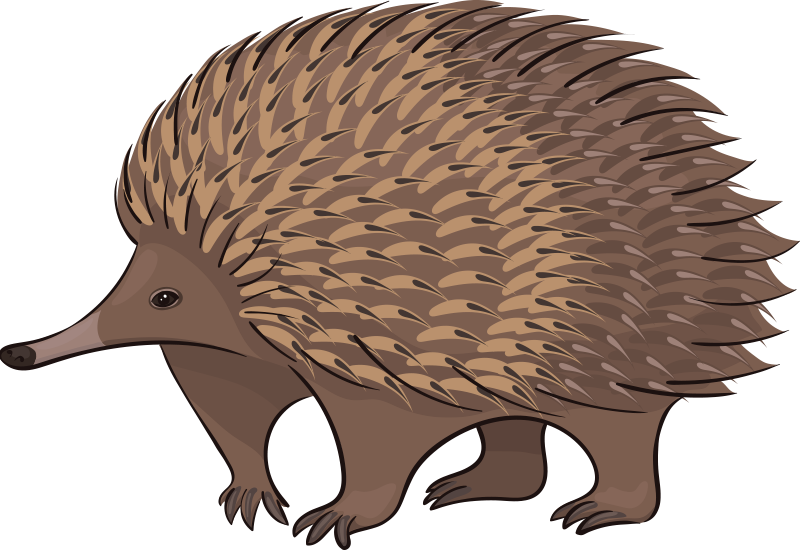 Alfombra vinílica animales erizo amigable - TenVinilo