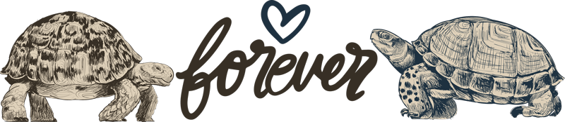 Alfombra vinílica animales amor eterno entre tortugas - TenVinilo