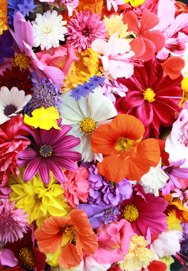 Alfombra vinílica flores abundantes y coloridas - TenVinilo