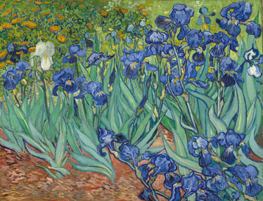 Alfombra vinílica flores flores de van gogh - TenVinilo