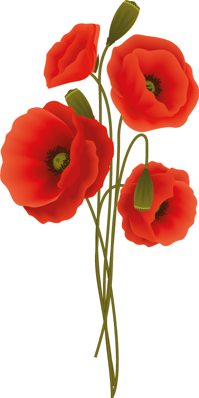 Alfombra vinílica baño amapolas delicadas - TenVinilo