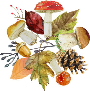 Alfombra vinílica naturaleza hojas y frutas del bosque - TenVinilo