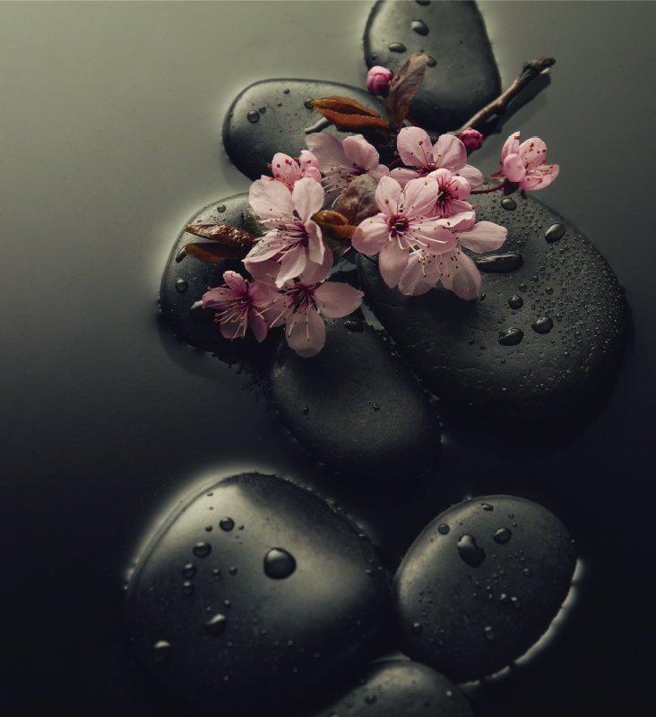 Alfombra vinílica naturaleza ambiente zen con piedras - TenVinilo