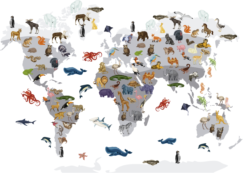 Alfombra de vinilo mapamundi adhesivo estilo nórdico - TenVinilo