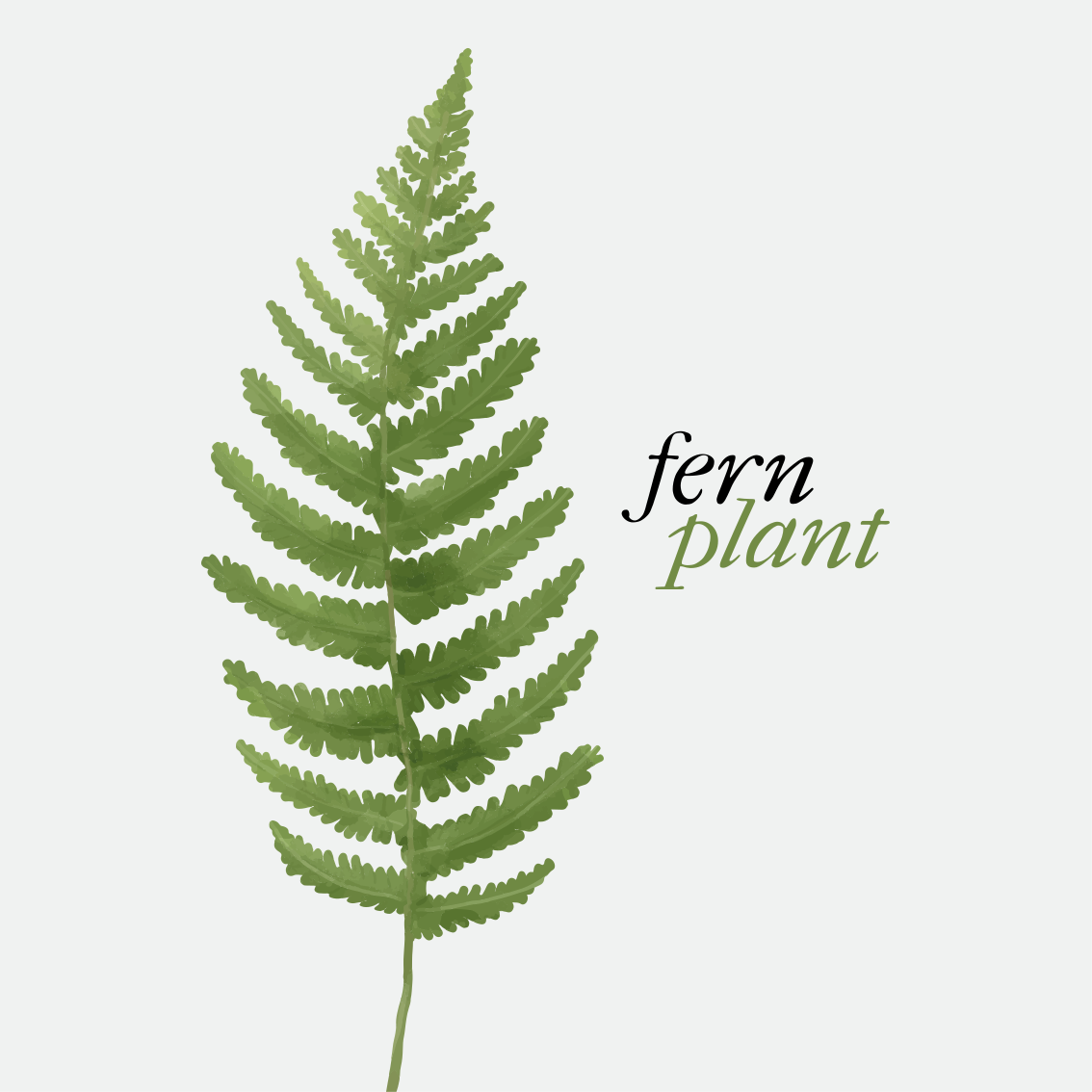 Alfombra vinílica frase planta de helecho estilo minimalista - TenVinilo