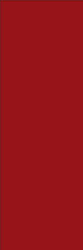 Alfombra vinílica roja rojo - TenVinilo