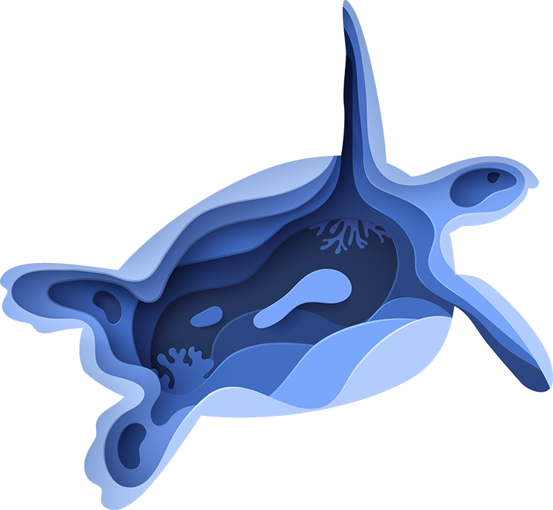 Aflombra vinílica animales tortuga abstracta - TenVinilo