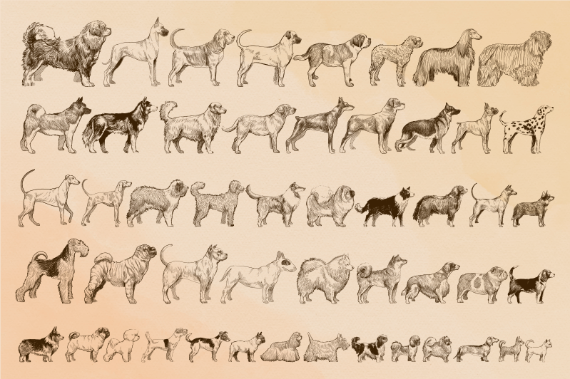 Alfombra vinílica animales ilustraciones de perros beige - TenVinilo