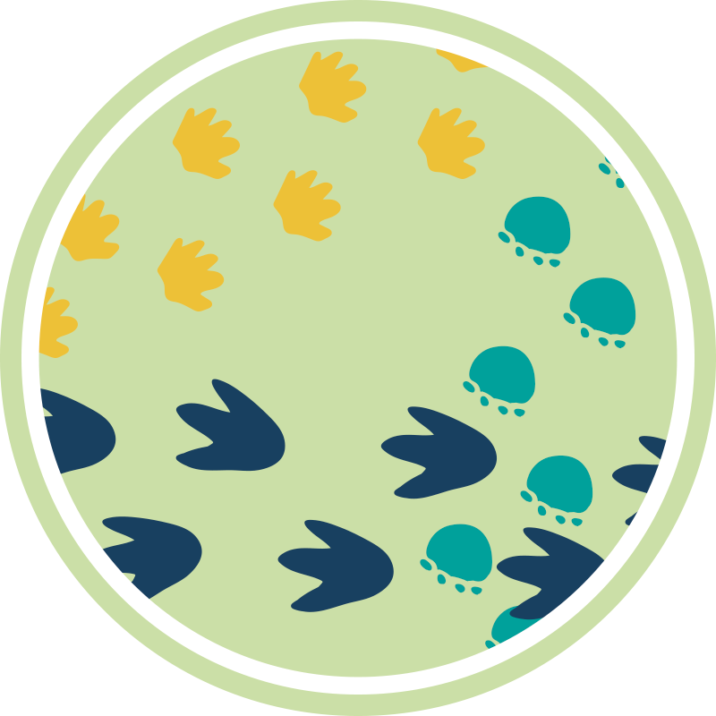 Alfombra vinílica bebé Huellas de dinosaurios - TenVinilo