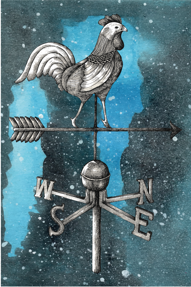 Alfombras vinílicas juvenils gallo de veleta - TenVinilo