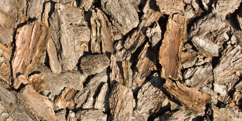 Alfombra vinílica textura madera diseño de corteza natural - TenVinilo