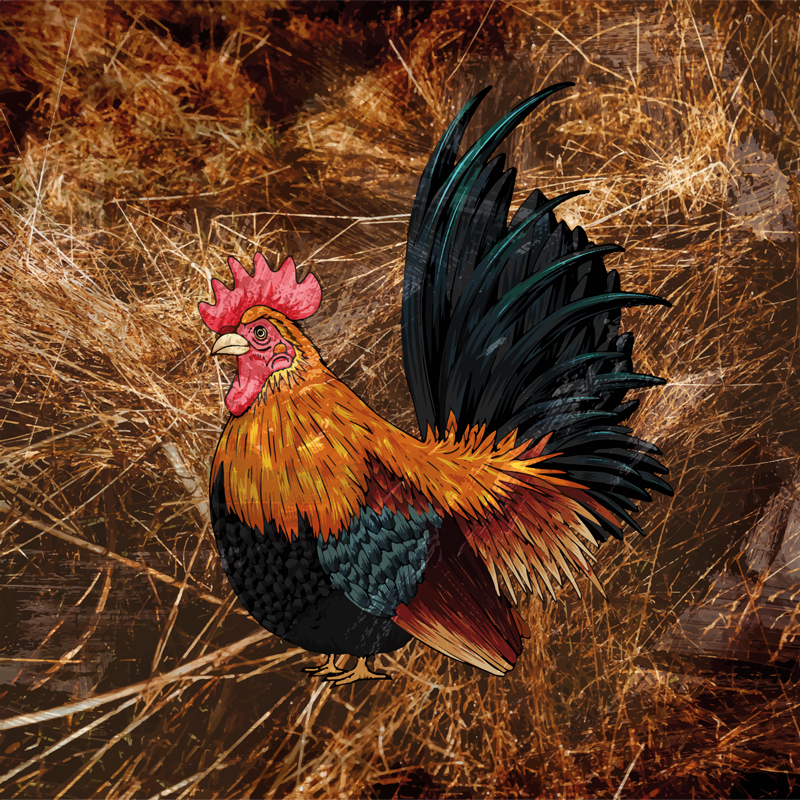 Alfombra vinílica animal print gallo vibrante - TenVinilo