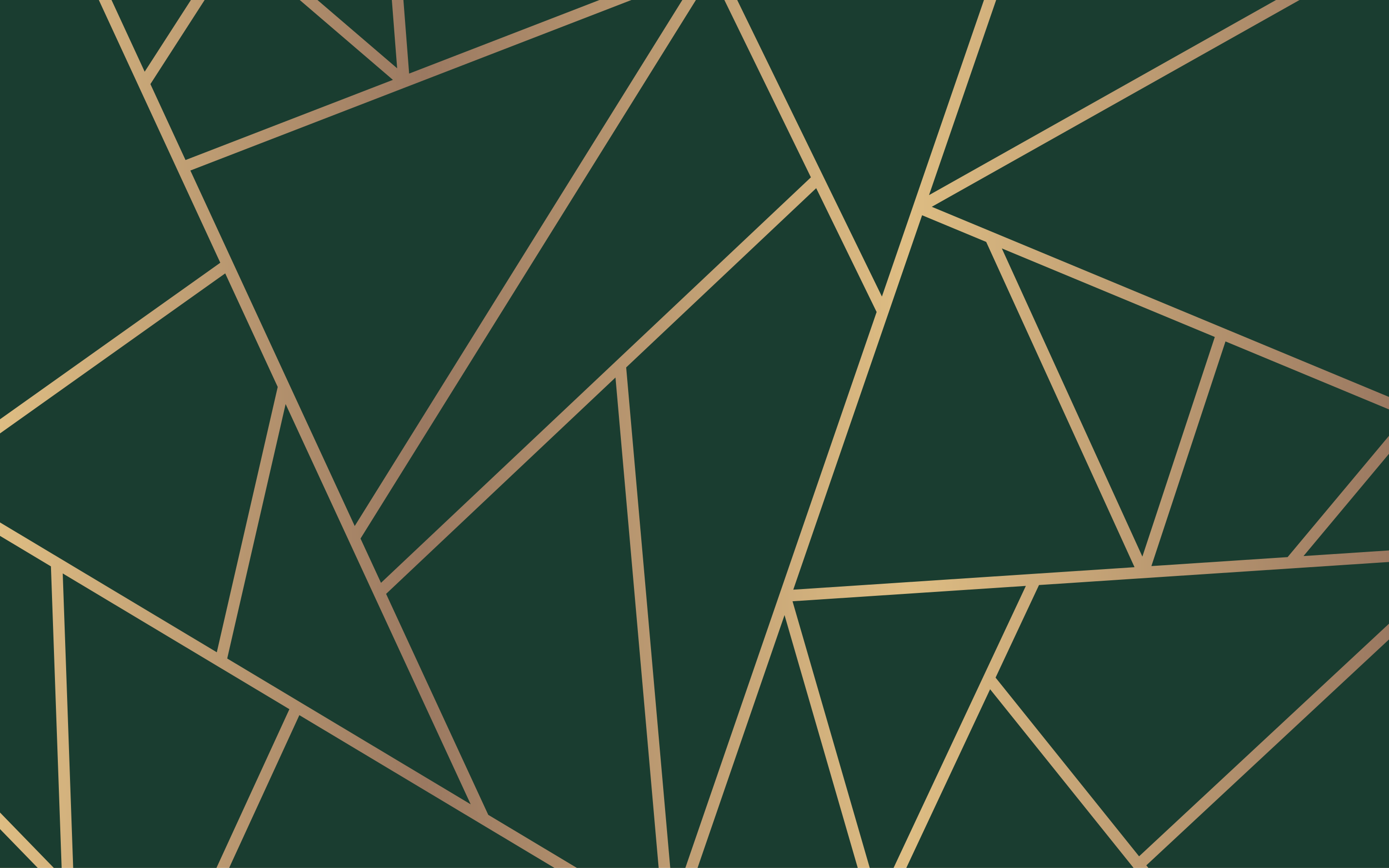 Alfombra de vinilo geométrica líneas verdes elegantes - TenVinilo