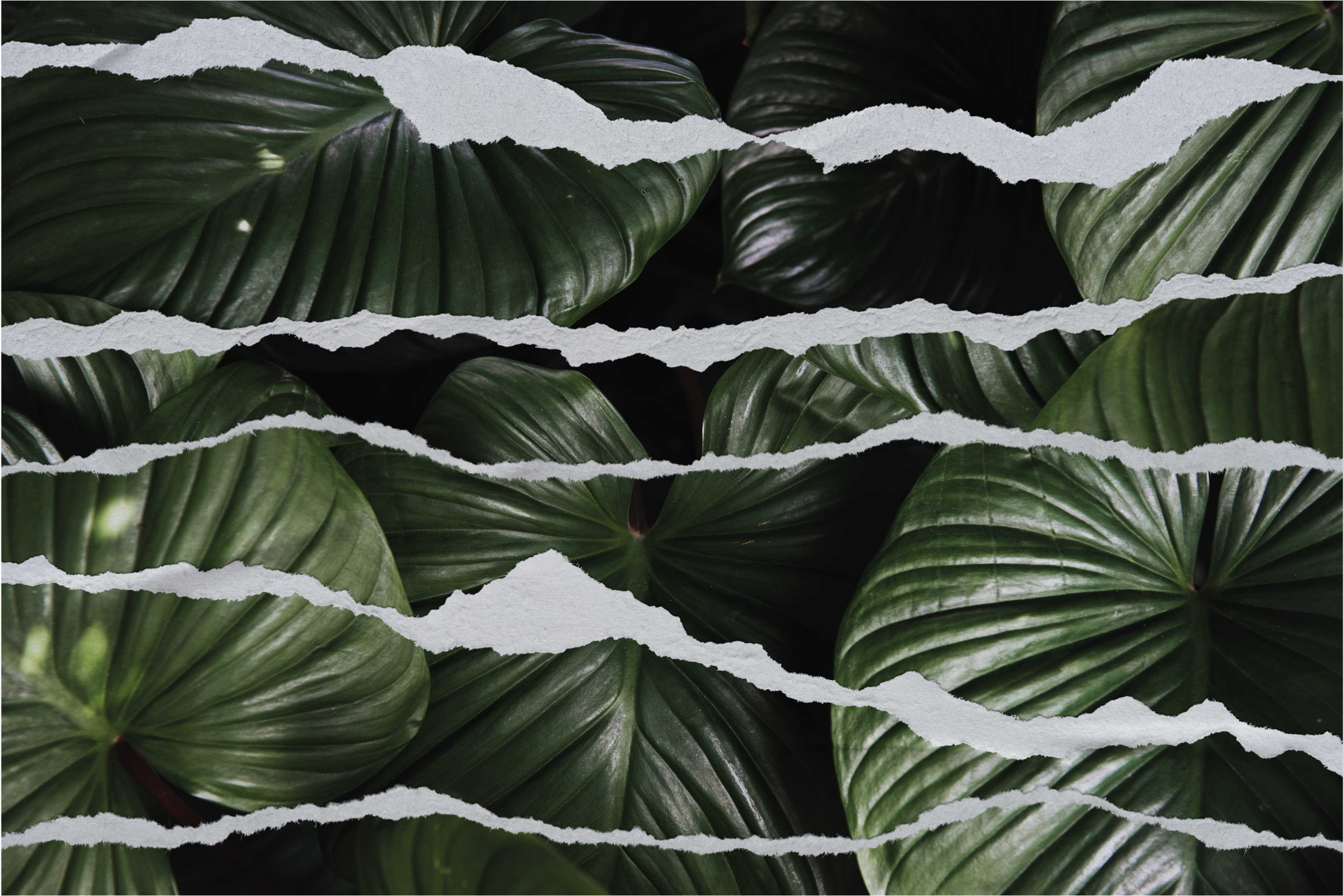 Alfombra vinílica naturaleza patrón de hoja rasgada - TenVinilo