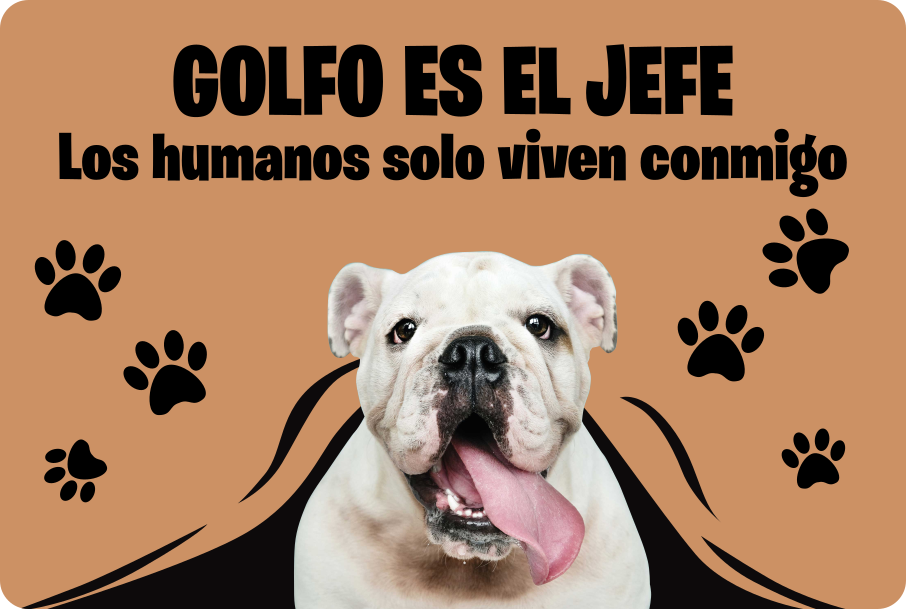 Alfombra vinilo recibidor foto personalizada de mascotaFoto perso - TenVinilo